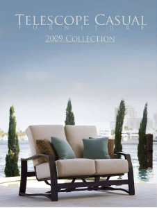 Catalog Image for 2009