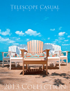 Catalog Image for 2013